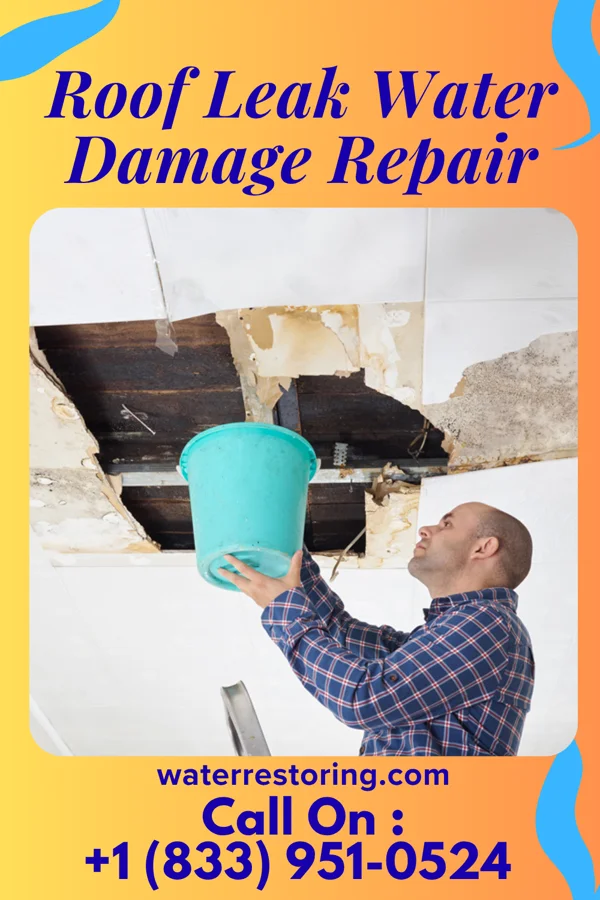 Roof Leak Water Damage Repair in Hallowell, KS